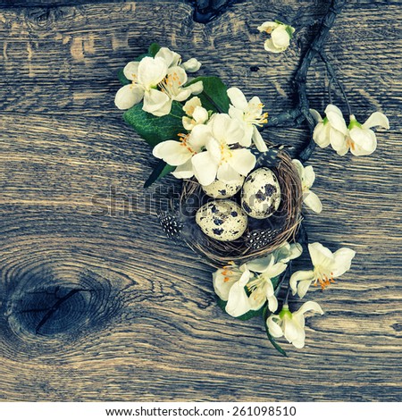 Flowers and easter nest with eggs on rustic wooden background. Spring apple tree blossom. Retro style toned picture