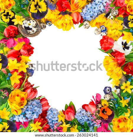 Easter decoration with eggs, tulips, narcissus, hyacinth and pansy blossoms. Flower frame