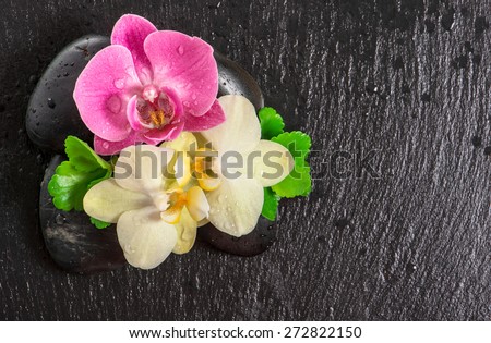 Spa concept with orchid flowers and green leaves on black background