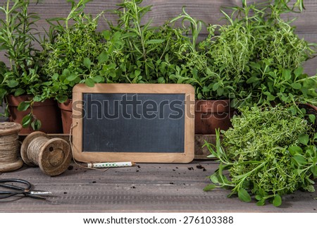 Garden herbs with chalkboard and vintage scissors. Food  ingredients rosemary, thyme, oregano