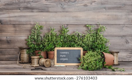 Kitchen herbs with chalkboard and vintage scissors. Food  ingredients rosemary, thyme, oregano