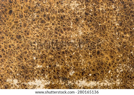 Scratched background in animal leather look. Used look paper textured pattern