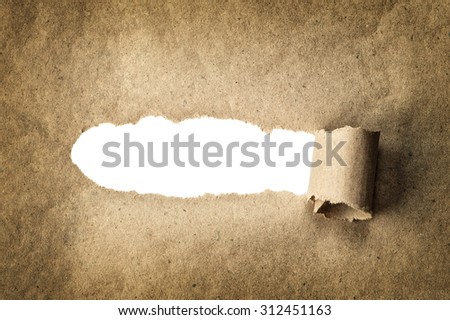Brown torn kraft paper with empty strip space for your text. Concept texture background