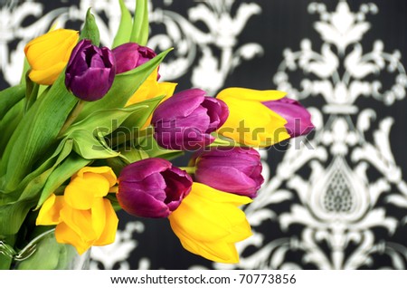 Colorful spring tulip flowers on black&white background