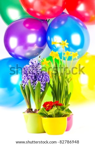 fresh spring flowers and multicolor balloons