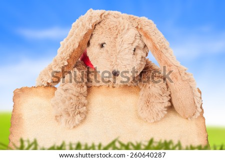 Rabbit, holding old grunge canvas fabric burn edge for happy easter eggs festival with blue sky background