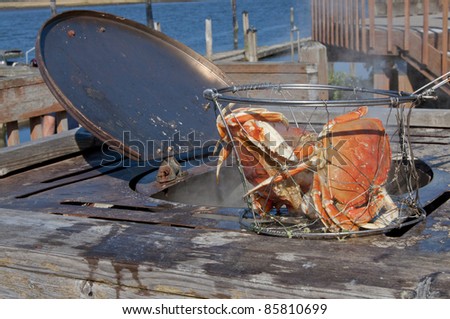 Cooking Dungeness crab in an outdoor cooking pot