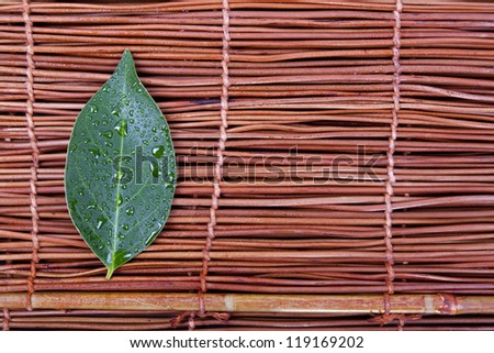 leaf with water drops on bamboo