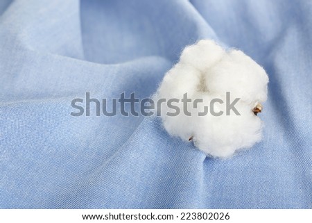 cotton ball on blue cotton shirt