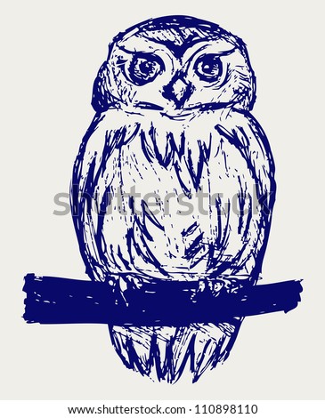 Cartoon Owl Sketches