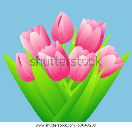 bouquet of spring flowers tulips