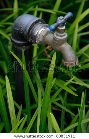 An outdoor water faucet used to attach a hose to for outdoor watering needs