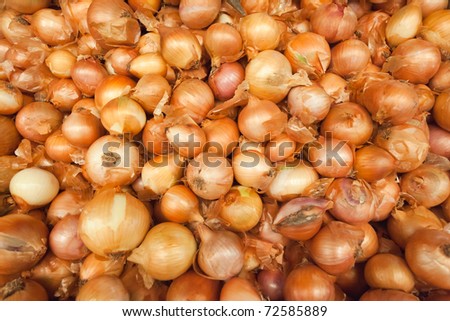 Many onion in different sizes in a market