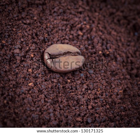 Coffee bean is the layer of ground coffee