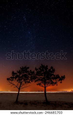 Two trees are growing together on the background of the starry sky and the Milky Way.