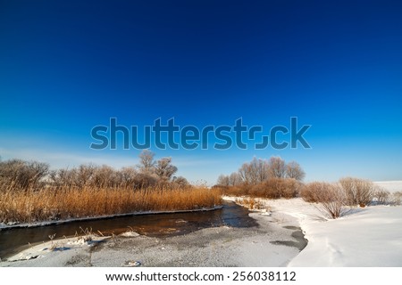 Trees covered with hoarfrost on the banks of a frozen river.