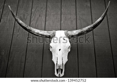 A bull skull mounted on wooden wall, in black and white.