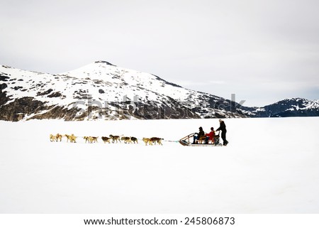 Huskies and malamutes pull dog sled riders along Alaska glacier