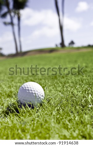 Golf ball rests in the rough with a sand trap and palm trees in the background.