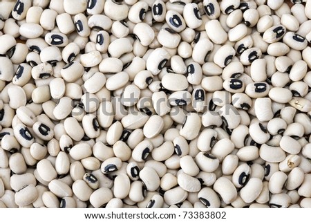 Dried black eyed beans close-up