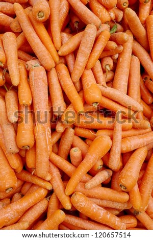 Lots of raw carrots vegetables close up.