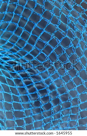 Ragged blue net background