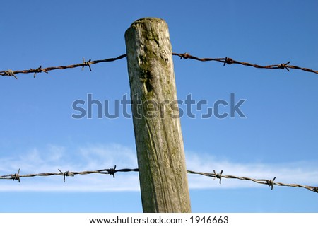 Old fence post and barbed wire