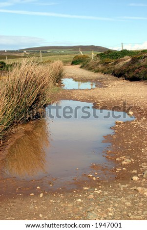 Large muddy puddles, Cornish coast path, UK