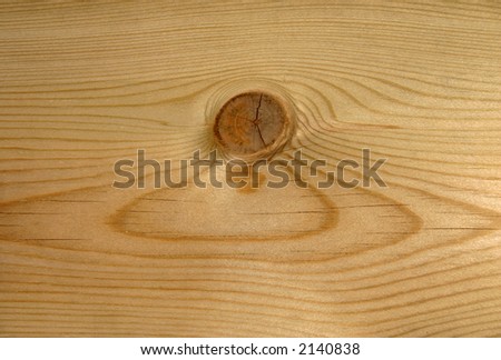 Large wood knot and rings background.