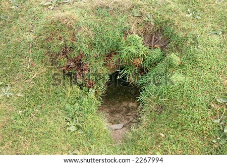 Rabbit hole, Cornwall, Uk