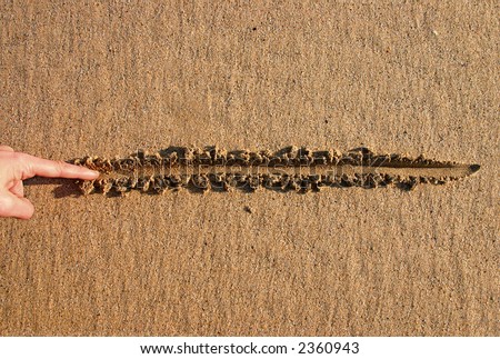 Drawing a line in the sand.  An old metaphor.