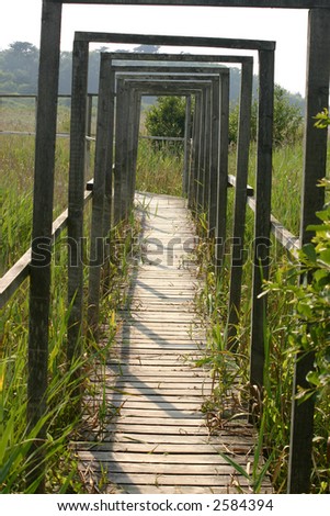 The wooden path over a pond to a bird hide, Isles of Scilly, Cornwall.