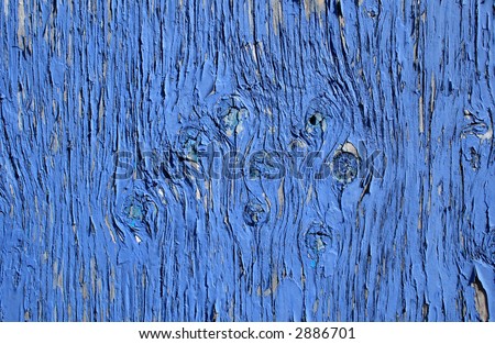 Wood knots on a flaky blue painted door.