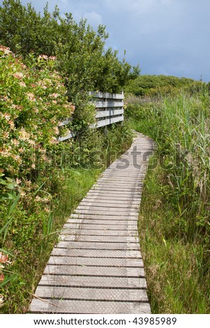 Wooden nature trail path.