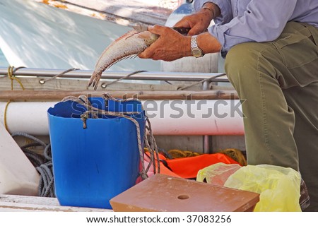 A fisherman is cleaning a fish on his boat