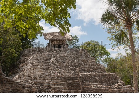 Old maya temple in Coba, Yucatan Ã?Â¢?? Mexiko