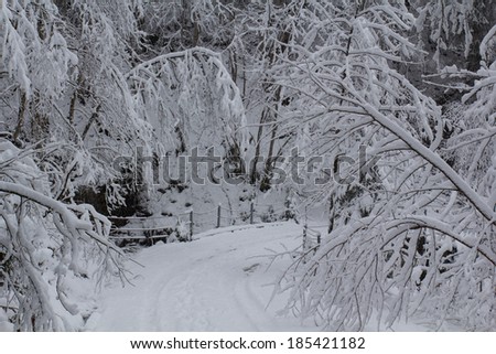 nice winter landscape in austria