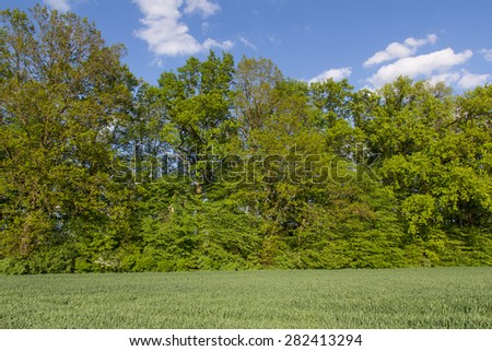 Spring landscape on a sunny day, next to Schwandorf in Bavaria