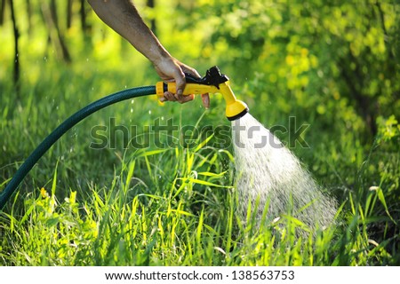 gardener watering the lawn in the garden