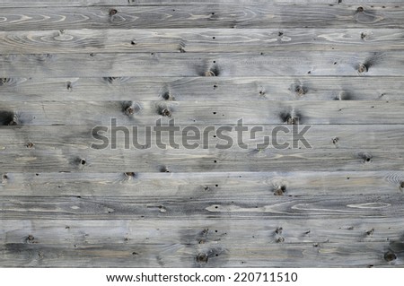 rotting wood. board