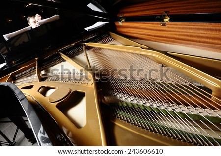 open a piano, strings.