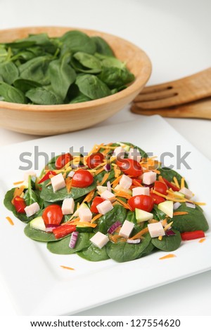 Healthy Main-Course Spinach Salad with Turkey on a White Plate (with focus on front edge of salad)