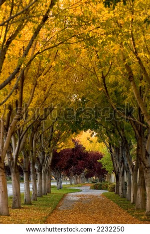 Covered Sidewalk