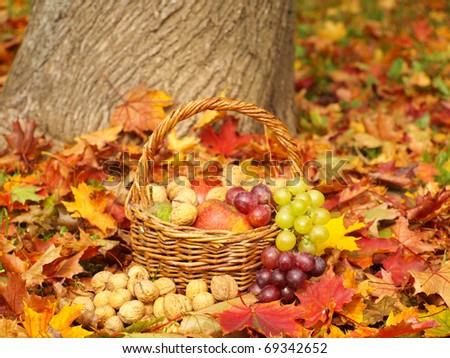 Doivi JESEN  - Page 2 Stock-photo-fruit-basket-in-the-autumn-nature-69342652