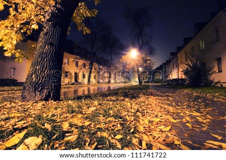 Autumn leaves in the city. Night scenery