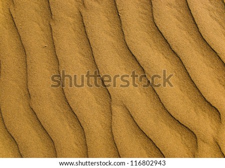 Sand dune ; sand pattern and texture from nature creation, Sand dune, USA , america