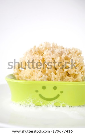 sponge with soap suds on soap tray