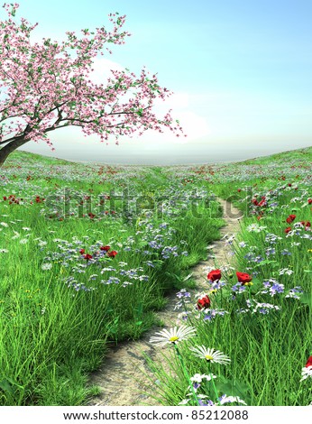 Pathway with cherry blossom tree