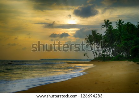 Sunset on ocean coast. Beautiful shores of the Indian ocean
