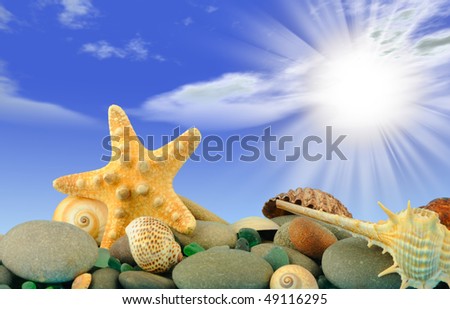Starfish and set of objects of the sea underwater world. On a background of bright beams of the sun